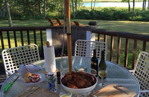 West Tisbury House | Fields & Pond Views - Minutes To Long Point Beach