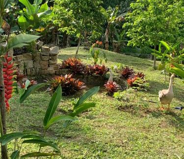 El Colegio House | Finca campestre en Mesitas del Colegio