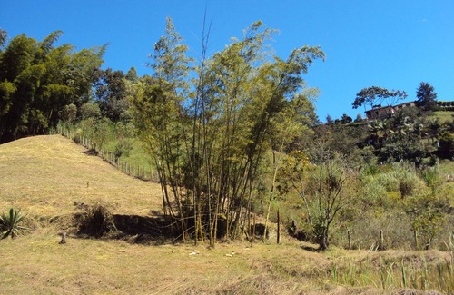 Rionegro Cottage | Finca Cocuyal. a whole live manger!