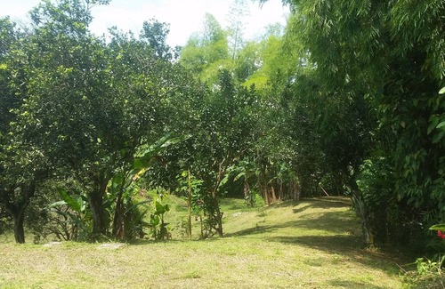 La Rochela Cottage | finca de descanso y relajación en el mejor clima y la tranquilidad