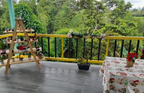Circasia House | Finca Hotel La Venia Bendita Quindio