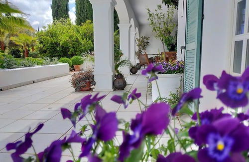 Ronda House | Finca Las Piedras, an Oasis of Tranquility in the Sierra de Ronda.