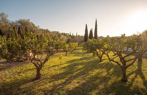 Sant Joan House | Finca Montana - im Herzen von Mallorca - Haustierfreundlich
