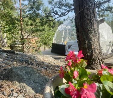 Pori Other | FinnDome