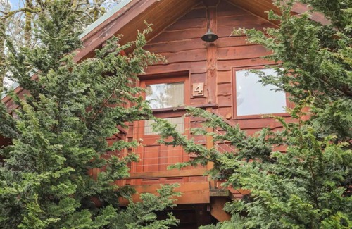 Stevenson Cabin | Fir Cabin at Wilder and Pine Riverside Cabins