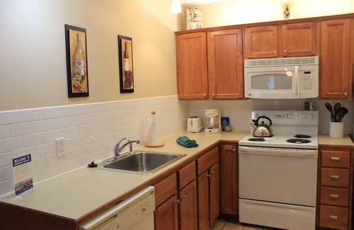 Snowshoe Condo | First Floor Allegheny Springs with Private Entrance-free pool use,slopeside,A/C