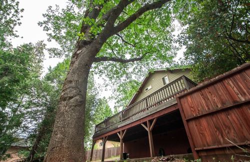 Soulsbyville Cabin | Five Bedroom Water Front Cabin
