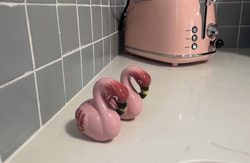 Ozona Villa | Flamingle in Palm Harbor