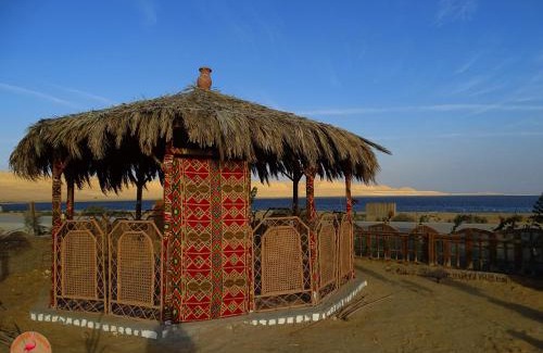 Al Fayoum Other | flamingo camp