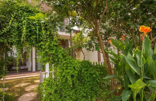 Ngoc Quang Resort | Flamingo Dai Lai Resort