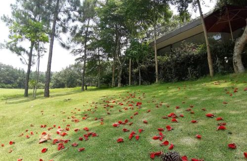 Ngoc Quang Villa | FLAMINGOS Villa Happy 3 phòng ngủ- view Hồ- bể bơi riêng
