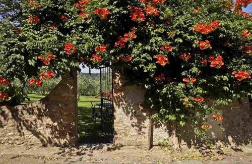 San Donato a Livizzano Apartment | Flat in a winery in Montespertoli,A/C,Wi-Fi,swimming pool,children friendly,sl 5