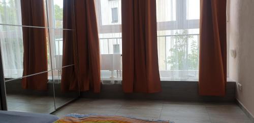 Alt-Godesberg Apartment | flats-4u - Cosy, quiet & clean apartment in the city (Apt. 6)