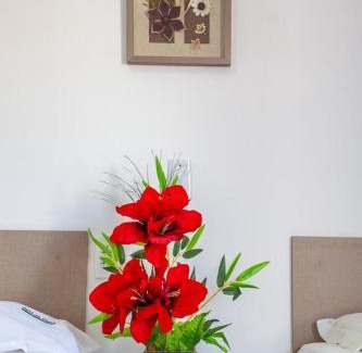 Passare House | Flats Gol de Placa