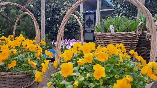 Lisse Apartment | Fleurdelis