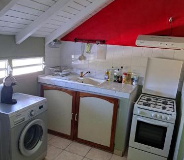 Grand-Bourg Apartment | Fleurs d'hibiscus