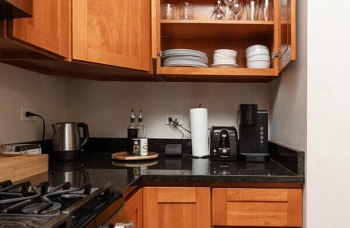 Wicker Park Apartment | Flexhome Wicker Park 2BR DV3