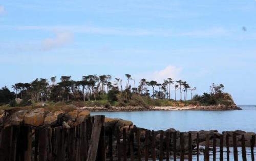 Roscoff Apartment | Flik-en-flac - Appartement à 20m de la plage