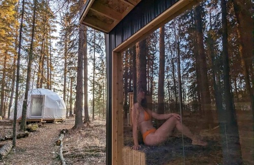 Winfield House | Floating Treehouse Cocoon - The Firefly