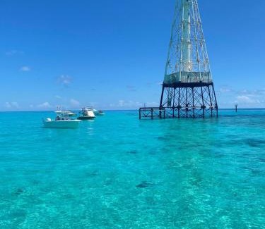 Islamorada Boat Rental | Florida Keys Boat Trips Multi Activity