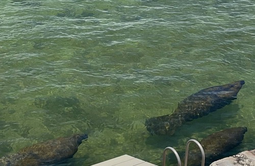 Layton House | Florida Keys Waterfront home with beautiful sunset views.