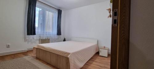 Odorheiu Secuiesc Apartment | Flower Apartment - Edge