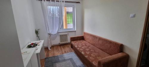 Odorheiu Secuiesc Apartment | Flower Apartment - Edge