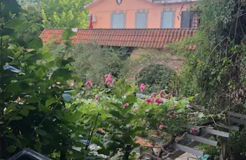 Filacciano Villa | Flowering Orchard - Villa with park, vegetable garden and pool near Rome - Pet friendly