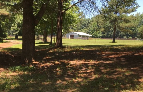 Heber Springs House | Fly-fishing Hideaway