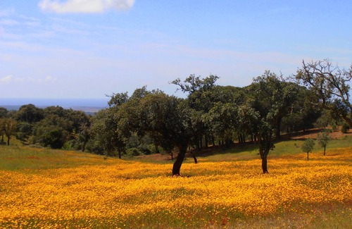 Grandola House | Fonte da Serra | Nature and Charm ; Countryside with sea view