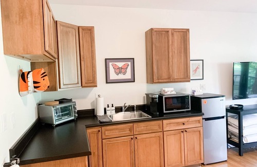 Clemson Apartment | Football! Walk to Death Valley/campus/downtown! Free Parking Spot! Next to ESSO!