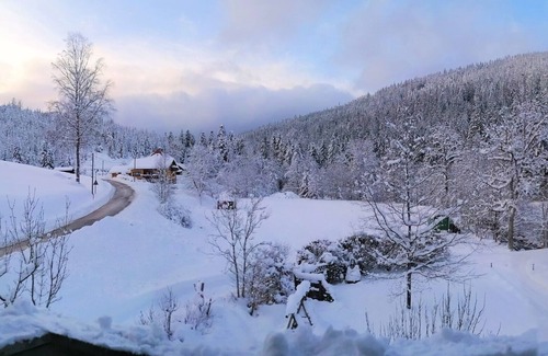 Baiersbronn Apartment | For nature lovers with up to 3 bedrooms and wonderful views!