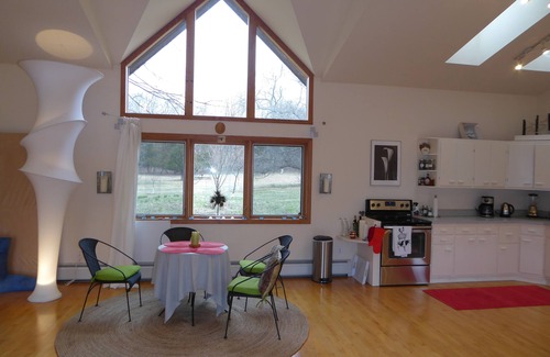 Ulster Park House | for the creative spirit, swimming dock on pond, horses to pet, Fire pit