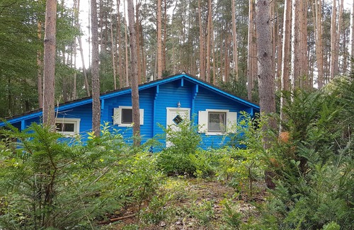 Hitzacker House | "Forest bathing" in Wendland, near the Elbe - hiking and cycling from the doorstep