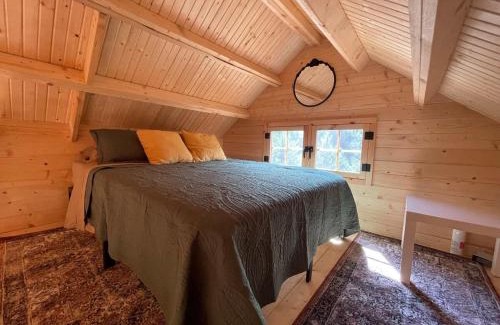 Langton House | Forest Bunkie Trails & Stargazing