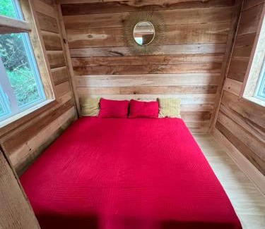 Langton House | Forest Bunkie Trails & Stargazing