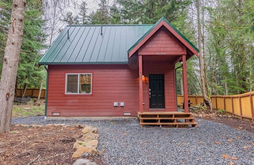 Ashford Cabin | Forest Cabin Near Mt. Rainier Ntl. Park Entrance w/Hottub-AC-WiFi-Fenced Yard