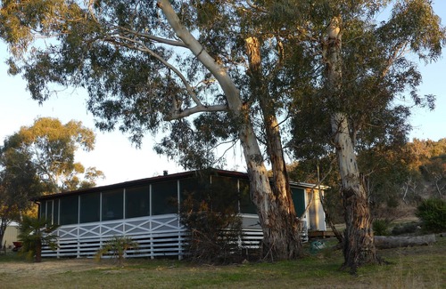 Binjura House | Forest Cottage – Relaxing bush stay. Pet friendly