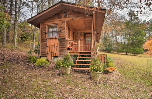 Murphy Cabin | Forest Fantasy: Pet-Friendly Smoky Mtn Escape!