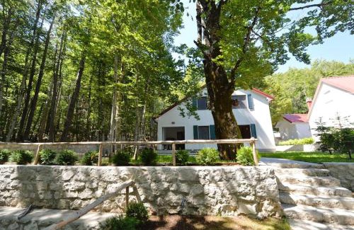 Cetinje House | Forest house