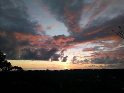 Uvita Cabin | Forest Lodge