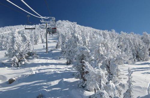 Incline Village House | Forest Pines Condo 1 - 46