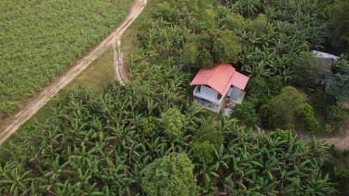 Buttala House | Forest Tree Top Holiday Resort