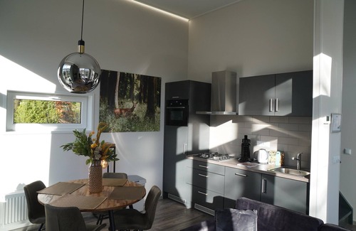 Bosgebied Hoenderloo House | Forest-View Tiny House