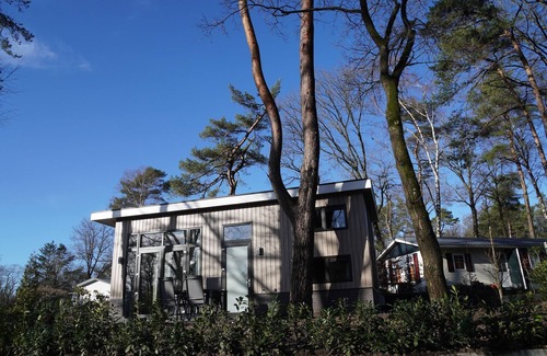 Bosgebied Hoenderloo House | Forest-View Tiny House