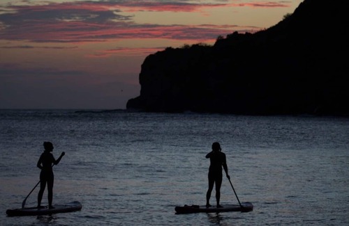 Playa La Redonda Resort | Forest View Tree House Studio Aqua Wellness Resort