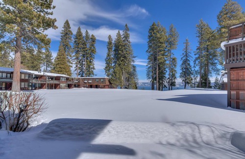 Tahoe Tavern House | Forest View -Walk to Town!