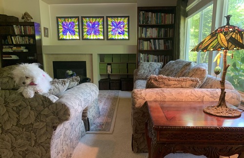 Holly House | Forest View with White Queen Bed