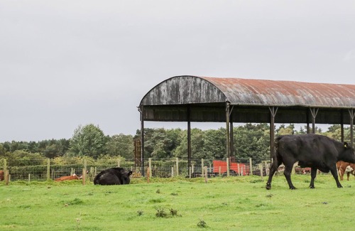 Wing Cabin | FORTRESS, pet friendly, with a garden in Brampton, Cumbria