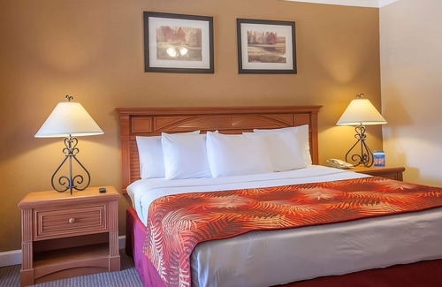 Palm Coast Hotel | Four Incredible Accommodations! Near Varn Park Beach, Shuttle and Parking!